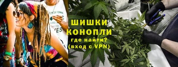 ешки Арсеньев