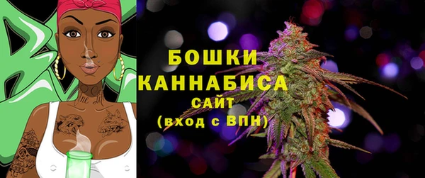 ешки Арсеньев