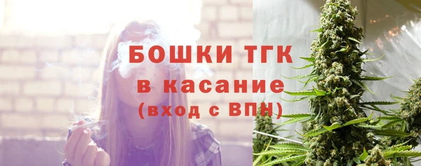 ешки Арсеньев