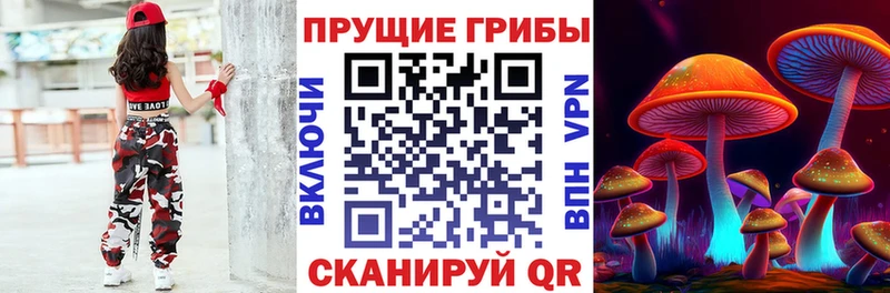 где найти   Лабинск  Галлюциногенные грибы Magic Shrooms 